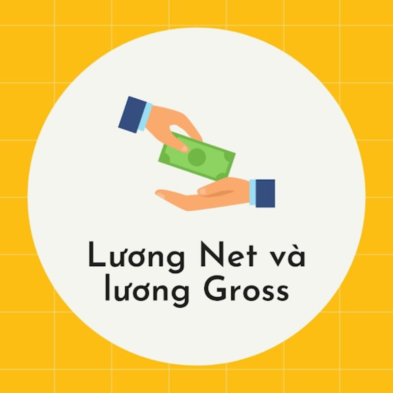 Lương net và lương gross là gì?
