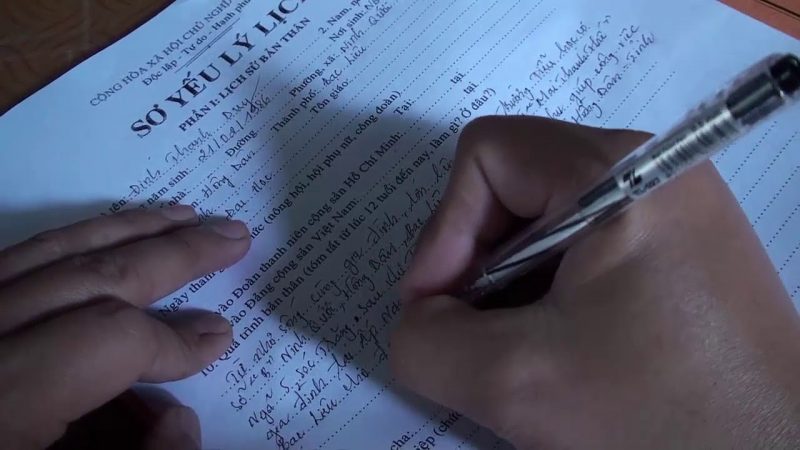 Hãy viết tóm tắt kinh nghiệm làm việc của bạn